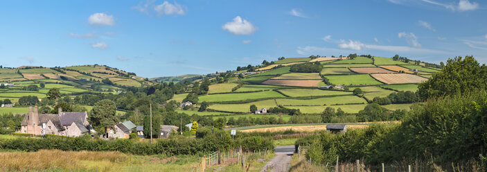 UK, Wales, Fields and meadows near Brecon - SHF001878