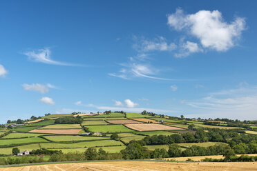 UK, Wales, Fields and meadows near Brecon - SHF001879