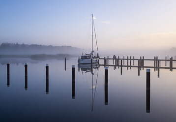 Germany, Fischland-Darss-Zingst, Prerow, Prerowstrom, Harbour in the morning - SIEF006962