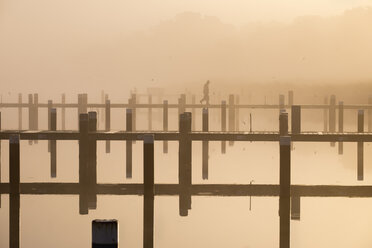 Deutschland, Fischland-Darss-Zingst, Prerow, Prerowstrom, Morgenstimmung am Hafen - SIE006964