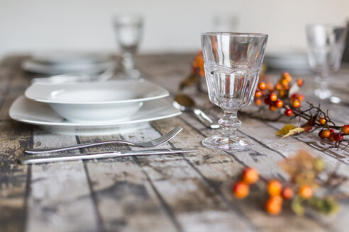 Leeres Weinglas auf herbstlich dekoriertem Tisch - SARF002573