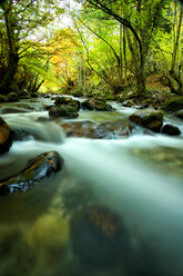 Spain, Asturias, Hermo in the autumnal Natural Park of Fuentes del Narcea, Degana and Ibias - DSGF000943