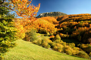 Spanien, Asturien, Naturpark von Fuentes del Narcea, Degana und Ibias im Herbst - DSGF000945
