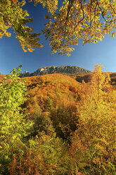 Spanien, Asturien, Naturpark von Fuentes del Narcea, Degana und Ibias im Herbst - DSGF000946