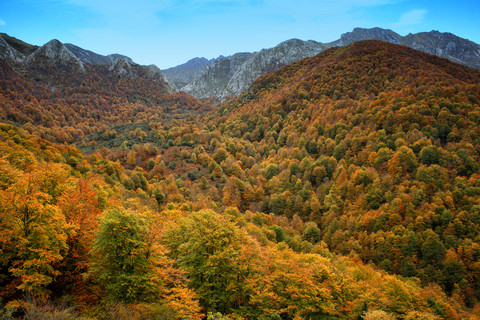 Spanien, Asturien, Naturpark Redes im Herbst, lizenzfreies Stockfoto