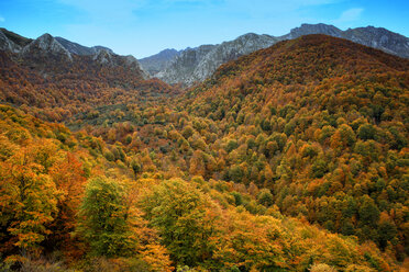 Spanien, Asturien, Naturpark Redes im Herbst - DSGF000953