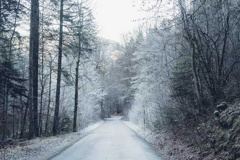 Deutschland, Bayern, Berchtesgadener Land, Straße im Winter - MJF001745