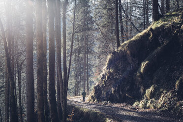 Germany, Berchtesgadener Land, boy on a path in the woods in winter - MJF001749