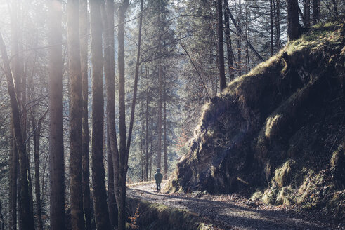 Deutschland, Berchtesgadener Land, Junge auf einem Waldweg im Winter - MJF001749