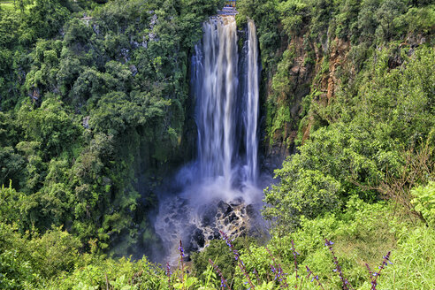 Kenia, Aberdare-Gebirge, Thomson-Fälle - DSGF000962