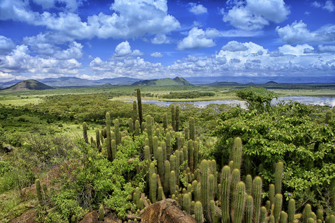 Kenia, Rift Valley Province, Blick auf den Naivasha-See, lizenzfreies Stockfoto