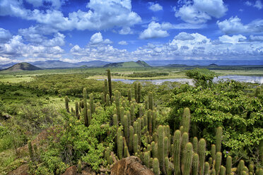 Kenya, Rift Valley Province, view to Lake Naivasha - DSGF000968