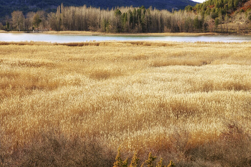 Spanien, Provinz Cuenca, Naturpark Serrania de Cuenca, Lagune Una - DSGF000980