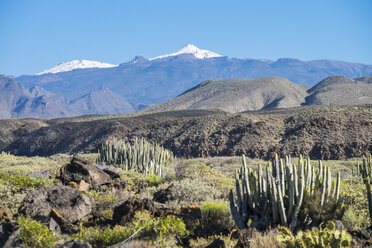 Spain, Tenerife, landscape with snow-covered mountain in the background - SIPF000202