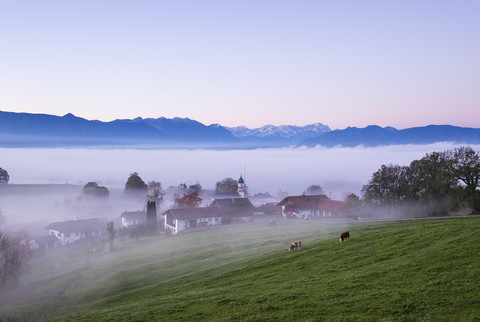 Deutschland, Bayern, Pfaffenwinkel, Aidling, Aidlinger Höhe, Morgennebel, Morgendämmerung, lizenzfreies Stockfoto