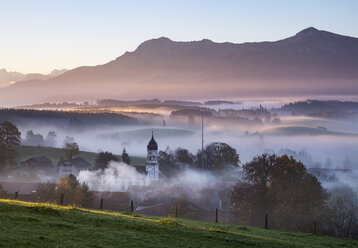 Germany, Bavaria, Pfaffenwinkel, Aidling, Aidlinger Hoehe, morning fog - SIEF006970