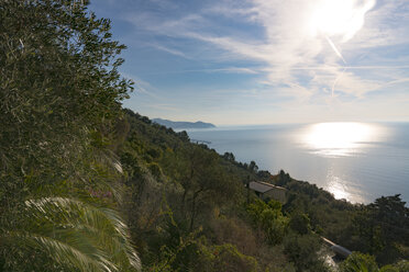 Italy, Liguria, Riviera di Levante, Chiavari, Mediterranean Sea - CSTF000950