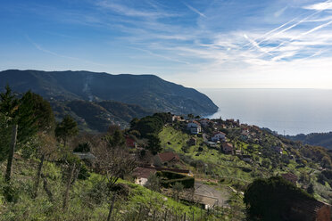 Italien, Ligurien, Cinque Terre - CSTF000952