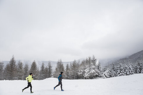 Ehepaar beim Langlauf im Winter - HAPF000244