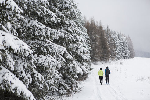 Ehepaar beim Langlauf im Winter - HAPF000253