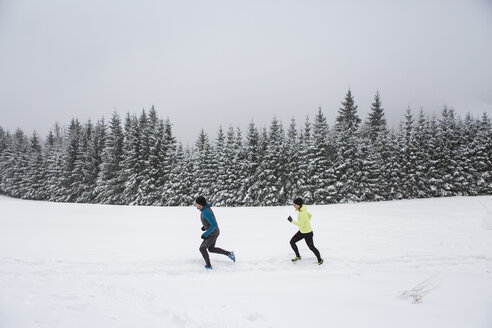 Ehepaar beim Langlauf im Winter - HAPF000257