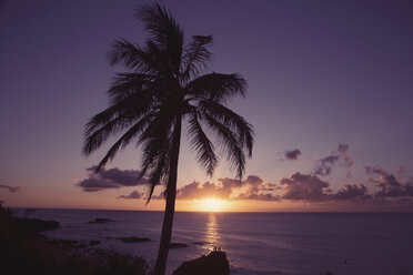 USA, Hawaii, Oahu, Waimea Bay in the evening - NGF000303
