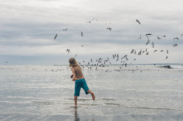 France, Brittany, Finistere, Pointe de la Torche, boy on the beach chasing seagulls - MJF001781