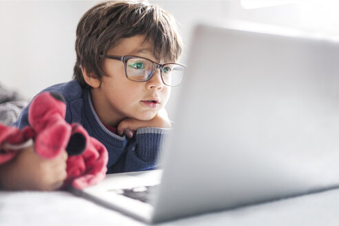 Portrait of little boy wearing oversized glasses looking at laptop - VABF000225