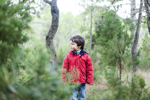 Kleiner Junge steht im Wald und beobachtet etwas, lizenzfreies Stockfoto
