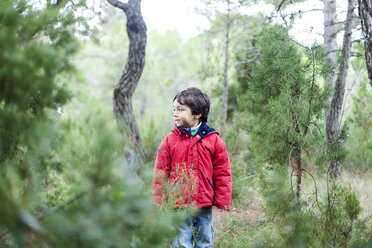 Little boy standing in the woods watching something - VABF000230