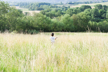 Back view of little boy on a meadow - VABF000242