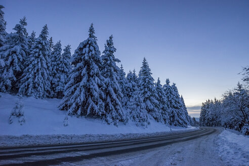 Deutschland, Niedersachsen, Nationalpark Harz, Bergstraße am Abend - PVCF000789