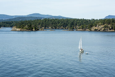 Canada, Vancouver Island, sailing boat on the coast of Victoria - NGF000308