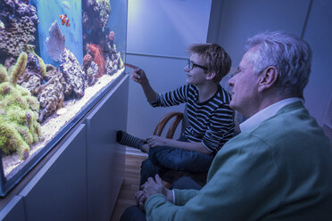 Großvater mit Enkel beim Betrachten eines Aquariums - PAF001550