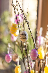 Twigs with willow catkins decorated with Easter eggs - SARF002606