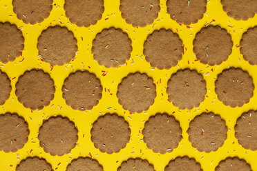 Rows of ginger cookies sprinkled with sugar granules on yellow background - VABF000263