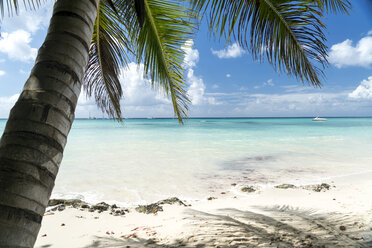 Dominican Republic, sandy beach of Bayahibe - PCF000240