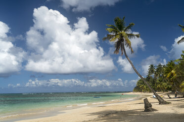Dominikanische Republik, Halbinsel Samana, Strand von Las Terrenas - PCF000243