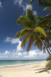 Dominican Republic, Peninsula Samana, Beach of Las Terrenas - PCF000244