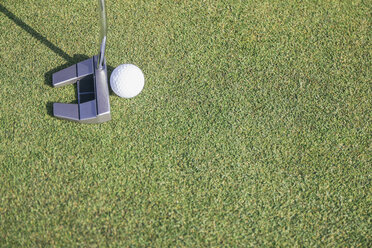 Ready to hit a golf ball on the green of a golf course - ABZF000236