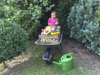 Little girl sitting on wheelbarrow with fruit and vegetable crates - DRF001694