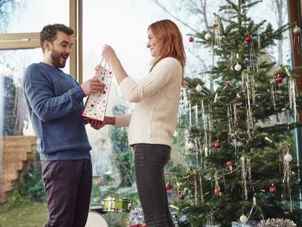 Ehepaar vor Weihnachtsbaum stehend - RHF001321