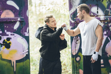 Zwei Boxer grüßen sich gegenseitig - MADF000857