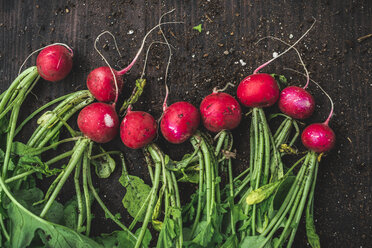 Red radishs and soil on dark wood - DEGF000669