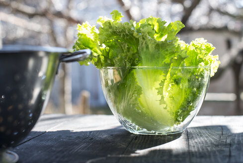 Glasschüssel mit Blattsalat - DEGF000672