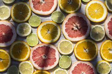 Slices of different citrus fruits - DEGF000683