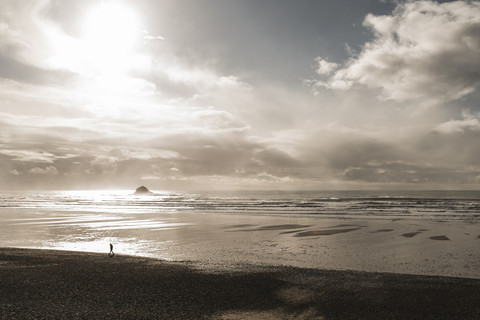 France, Bretagne, Finistere, Crozon peninsula, person walking on the beach stock photo