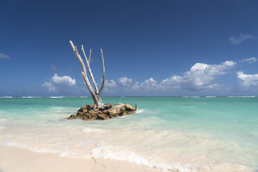 Dominikanische Republik, Punta Cana, toter Baumstamm im Meer, Playa Bavaro - PCF000248