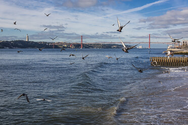 Portugal, Lissabon, Brücke 25 de Abril und fliegende Tauben - MAUF000291