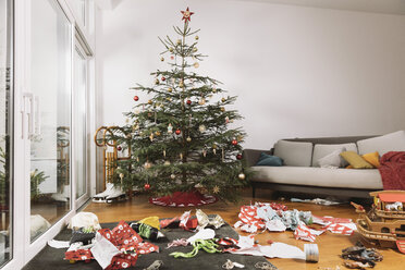 Living room on Christmas morning with torn up wrapping paper in front of the tree - MFF002790
